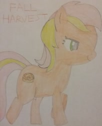 Size: 1893x2318 | Tagged: safe, artist:jerryakiraclassics19, derpibooru import, oc, oc only, oc:fall harvest, earth pony, pony, female, mare, recolor, traditional art