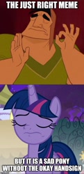 Size: 500x1030 | Tagged: safe, derpibooru import, edit, edited screencap, screencap, twilight sparkle, twilight sparkle (alicorn), alicorn, human, pony, the summer sun setback, caption, image macro, meme, pacha, text, the emperor's new groove, 👌