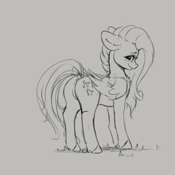 Size: 4000x4000 | Tagged: safe, artist:miokomata, derpibooru import, fluttershy, pegasus, pony, chest fluff, dock, featureless crotch, female, freckles, freckleshy, looking at you, looking back, looking back at you, mare, monochrome, rear view, simple background, sketch