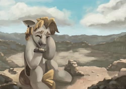 Size: 4096x2897 | Tagged: safe, artist:toisanemoif, derpibooru import, oc, oc only, earth pony, pony, crying, male, rock, ruins, sitting, solo, stallion