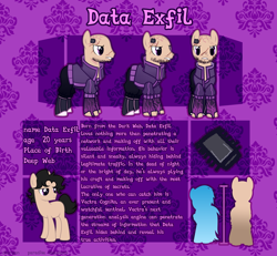 Size: 4000x3700 | Tagged: safe, artist:paradiseskeletons, derpibooru import, oc, oc:data exfil, reference sheet