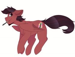 Size: 2900x2200 | Tagged: safe, artist:jayliedoodle, derpibooru import, oc, oc:solar strom, pegasus, blue eyes, brown mane, cheerful, happy, male, pegasus oc, pen, raffle winner, red coat