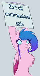 Size: 900x1700 | Tagged: safe, artist:puddingskinmcgee, derpibooru exclusive, derpibooru import, oc, oc only, oc:aetharis, pegasus, pony, armpits, chest fluff, commission, female, looking at you, sign, simple background, solo, text