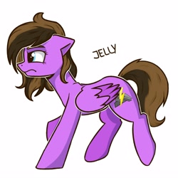 Size: 4000x4000 | Tagged: safe, artist:jellyys, derpibooru import, oc, oc only, pegasus, pony, simple background, solo