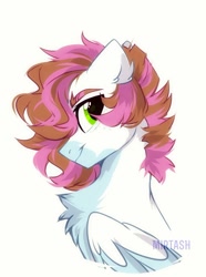 Size: 1118x1499 | Tagged: safe, artist:mirtash, derpibooru import, oc, oc only, pegasus, pony, bust, solo