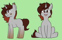 Size: 2400x1554 | Tagged: safe, artist:galaxysquid, derpibooru import, oc, oc:shruggy, pony, unicorn, clean, dirty, reference sheet, solo