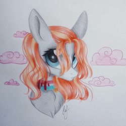 Size: 1080x1080 | Tagged: safe, artist:jonny_flex69, derpibooru import, oc, oc only, earth pony, pony, bust, cloud, collar, earth pony oc, eyelashes, signature, solo, traditional art