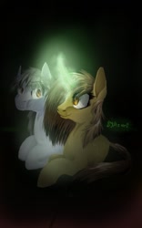 Size: 500x800 | Tagged: artist needed, safe, derpibooru import, oc, oc only, oc:silver bristle, earth pony, pony, unicorn, darkness, digital art, female, glowing horn, horn, male, mare, missing accessory, simple background, stallion