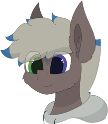 Size: 4810x5531 | Tagged: safe, artist:skylarpalette, derpibooru import, oc, oc only, oc:silver lining, earth pony, pony, cheek fluff, clothes, ear fluff, earth pony oc, fluffy, hoodie, male, simple background, simple shading, smiling, stallion, transparent background