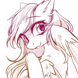 Size: 1280x1280 | Tagged: safe, artist:swaybat, derpibooru import, oc, pegasus, pony, female, looking at you, mare, sketch, solo
