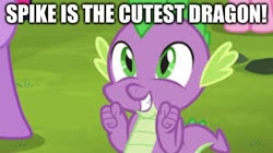 Size: 500x279 | Tagged: safe, derpibooru import, edit, edited edit, edited screencap, screencap, pinkie pie, spike, twilight sparkle, dragon, earth pony, pony, caption, cropped, cute, false, image macro, solo focus, spikabetes, spikelove, text