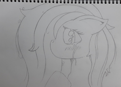 Size: 2048x1464 | Tagged: safe, artist:phenioxflame, derpibooru import, fluttershy, pegasus, pony, crying, monochrome, pencil drawing, solo, traditional art