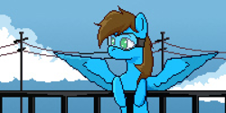 Size: 2000x1000 | Tagged: safe, artist:armi4an, derpibooru import, oc, oc only, oc:blue scroll, pegasus, pony, male, pixel art, safety goggles