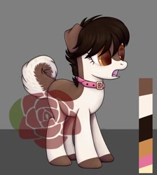 Size: 1080x1204 | Tagged: safe, artist:ash_helz, derpibooru import, oc, oc only, dog, dog pony, pony, :o, collar, colored hooves, floppy ears, open mouth, reference sheet, solo, watermark