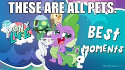 Size: 2048x1152 | Tagged: safe, derpibooru import, angel bunny, gummy, opalescence, owlowiscious, spike, tank, alligator, bird, cat, dragon, owl, rabbit, tortoise, my little pony: pony life, abuse, animal, caption, image macro, implied spikeabuse, op is a cuck, pet, pet spike, spike is a pet, spikeabuse, text, winged spike