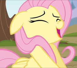 Size: 1065x939 | Tagged: safe, derpibooru import, screencap, fluttershy, pegasus, pony, rainbow falls, cropped, cute, eyes closed, floppy ears, open mouth, out of context, outdoors, shyabetes, smiling, solo