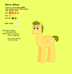 Size: 2585x2653 | Tagged: safe, artist:theawesomeguy98201, derpibooru import, oc, oc:stormshiner, pegasus, pony, male, reference sheet, stallion