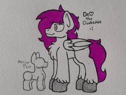Size: 2372x1779 | Tagged: safe, artist:drheartdoodles, derpibooru import, oc, oc only, oc:dr.heart, pegasus, pony, background pony, chest fluff, clydesdale, reference, reference sheet, size difference, smiling, solo, traditional art