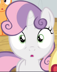 Size: 495x618 | Tagged: safe, derpibooru import, screencap, sweetie belle, the break up breakdown, cropped, looking at you, offscreen character, shocked, solo