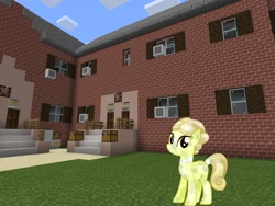 Size: 2048x1536 | Tagged: safe, artist:topsangtheman, artist:vector-brony, derpibooru import, crystal pony, earth pony, pony, topsangtheman's minecraft server, crying, golden glitter, house, looking at you, minecraft, solo