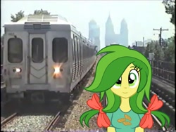 Size: 2048x1536 | Tagged: safe, artist:topsangtheman, derpibooru import, apple fritter, pony, equestria girls, apple family member, equestria girls-ified, irl, looking at you, philadelphia, photo, ponies in real life, septa, train