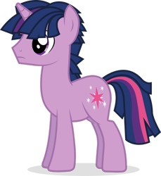 Size: 1280x1397 | Tagged: safe, artist:bigsnusnu, derpibooru import, dusk shine, twilight sparkle, unicorn, male, rule 63, simple background, solo, stallion, transparent background, vector