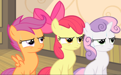 Size: 1396x868 | Tagged: safe, derpibooru import, screencap, apple bloom, scootaloo, sweetie belle, somepony to watch over me, adorabloom, cropped, cute, cutealoo, cutie mark crusaders, diasweetes, feminism, puffed chest, sassabetes, sassabloom, scootasass, sitting, sweat, tough, trio