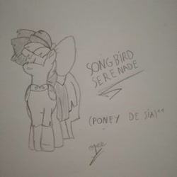 Size: 1080x1080 | Tagged: safe, artist:operfield, derpibooru import, songbird serenade, pegasus, pony, my little pony: the movie, bow, female, hair bow, lineart, mare, monochrome, sia (singer), signature, solo, text, traditional art