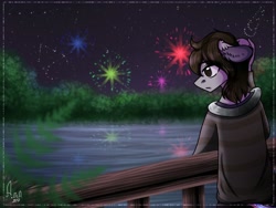 Size: 1024x768 | Tagged: safe, artist:loni_ee_, derpibooru import, oc, oc only, anthro, earth pony, clothes, earth pony oc, fireworks, frown, lake, male, night, outdoors, redraw, signature, solo, stars, tree