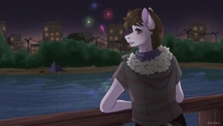 Size: 1080x607 | Tagged: safe, artist:loni_ee_, derpibooru import, oc, oc only, anthro, earth pony, building, clothes, earth pony oc, fireworks, frown, lake, looking back, male, night, outdoors, redraw, signature, solo, stars, tree