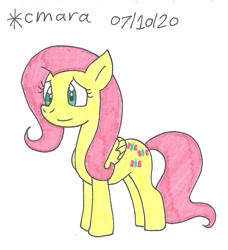 Size: 904x993 | Tagged: safe, artist:cmara, derpibooru import, fluttershy, pegasus, pony, female, mare, simple background, solo, traditional art, white background