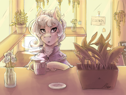 Size: 2400x1800 | Tagged: safe, artist:mad-maker-cat, derpibooru import, pony, coffee cup, cup, female, mare, plant, solo