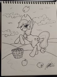 Size: 1800x2434 | Tagged: safe, artist:artponymdp, derpibooru import, applejack, earth pony, pony, apple, food, monochrome, solo, traditional art