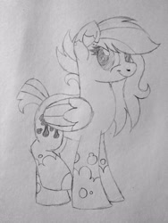 Size: 3000x4000 | Tagged: safe, artist:ponkus, derpibooru import, oc, oc:odd inks, pegasus, pony, female, mare, sketch, solo, traditional art