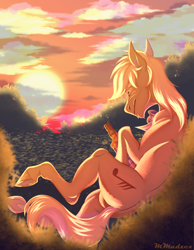 Size: 3500x4500 | Tagged: safe, artist:murshumadzex, derpibooru import, earth pony, pony, bottle, high res, male, solo, stallion, sunset