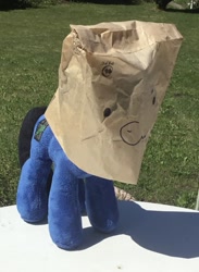 Size: 1201x1645 | Tagged: safe, derpibooru import, oc, oc:digital wrench, oc:paper bag, face on a bag, i think that's not the paper bag pony, paper bag, photo, plushie