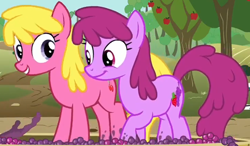 Size: 1968x1147 | Tagged: safe, derpibooru import, screencap, berry punch, berryshine, cherry berry, earth pony, pony, on your marks, background pony, berrybetes, cherrybetes, cropped, cute, duo, female, food, grape stomping, grapes, mare, stomping