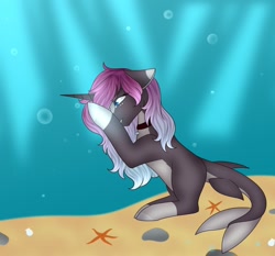 Size: 1280x1193 | Tagged: safe, artist:okimichan, derpibooru import, oc, oc:nixie, original species, shark, shark pony, female, solo, underwater