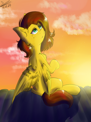 Size: 1068x1424 | Tagged: safe, artist:yuris, derpibooru import, oc, oc:yuris, pegasus, pony, roof, solo, sunset