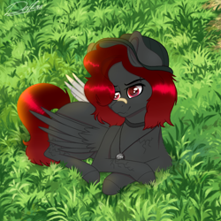 Size: 768x768 | Tagged: safe, artist:delfinaluther, derpibooru import, oc, oc only, pegasus, pony, bandaid, cute, grass, solo