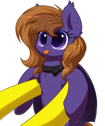 Size: 5000x6000 | Tagged: safe, artist:acersiii, derpibooru import, oc, oc:lemon drop, oc:lunar rose, bat pony, pony, :p, bat pony oc, big eyes, blepping, chest fluff, collar, colored pupils, commission, cute, dilated pupils, ear fluff, ear tufts, female, holding a pony, mare, ocbetes, offscreen character, orange mane, pov, purple coat, purple eyes, simple background, small pony, smiling, solo focus, tongue out, transparent background, underhoof, wings
