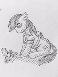 Size: 1536x2048 | Tagged: safe, artist:naki4949, derpibooru import, daring do, pegasus, pony, pencil drawing, solo, traditional art