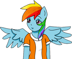 Size: 492x406 | Tagged: safe, artist:wrath-marionphauna, derpibooru import, rainbow dash, anthro, clothes, digital art, female, shirt, simple background, solo, t-shirt, transparent background, wings