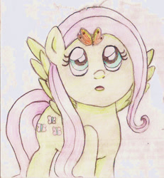 Size: 1201x1301 | Tagged: safe, artist:wrath-marionphauna, derpibooru import, fluttershy, butterfly, pegasus, pony, colored pencil drawing, solo, surprised, traditional art