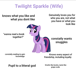 Size: 1024x1024 | Tagged: artist needed, source needed, safe, derpibooru import, edit, twilight sparkle, unicorn twilight, pony, unicorn, female, ideal gf, mare, meme, simple background, smiling, solo, text, white background