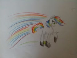 Size: 1280x960 | Tagged: safe, artist:kiwwsplash, derpibooru import, oc, oc only, earth pony, pony, earth pony oc, hoof shoes, multicolored hair, rainbow hair, raised hoof, solo, traditional art