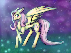 Size: 2160x1620 | Tagged: safe, artist:spirit.heart.legends, derpibooru import, fluttershy, pegasus, pony, female, mare, night, raised hoof, signature, smiling, solo, stars