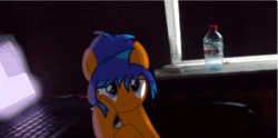 Size: 1920x955 | Tagged: safe, artist:gamingcomputerpony, derpibooru import, oc, oc only, oc:gamingcomputerpony, animated, bored, computer, drink, gif, irl, laptop computer, photo