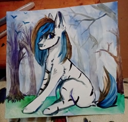 Size: 1080x1030 | Tagged: safe, artist:ske, derpibooru import, oc, earth pony, hybrid, zebra, solo, traditional art, watercolor painting