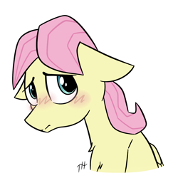 Size: 2000x2000 | Tagged: safe, artist:fakskis, derpibooru import, butterscotch, fluttershy, pegasus, pony, adorascotch, blushing, chest fluff, cute, floppy ears, folded wings, high res, looking at you, male, rule 63, rule63betes, signature, simple background, solo, stallion, white background, wings